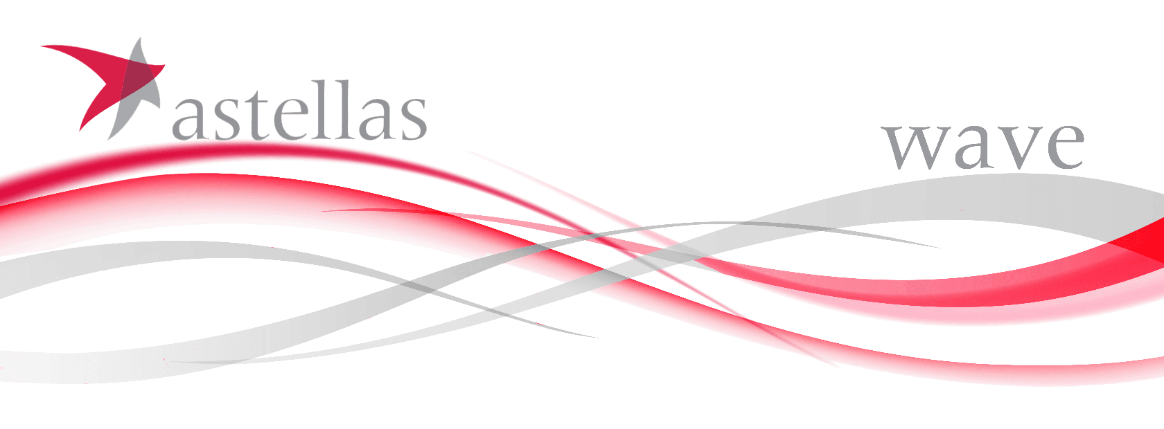 Learning Management System